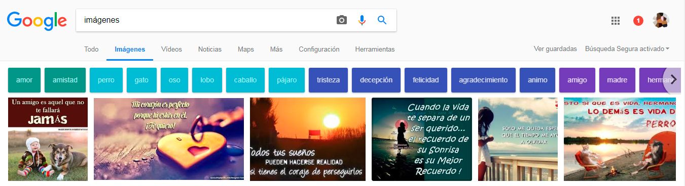 SEO para imágenes ejemplo